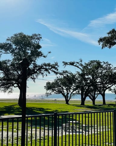 View from a porch through live oak trees to the sparkling Gulf water on a clear morning